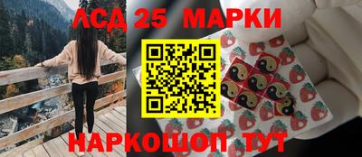 гашик Будённовск