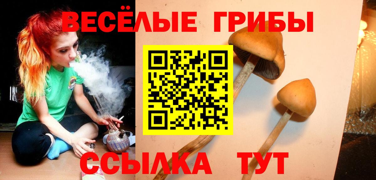 Соль-Илецк  Псилоцибиновые грибы прущие грибы  Вход с VPN 